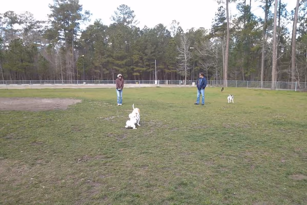 Dog Park at Palmetto Islands County Park photo 2